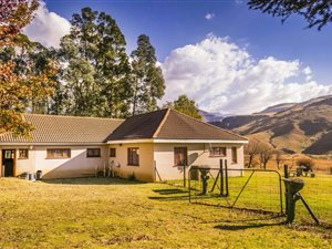 4 ha Smallholding in Underberg