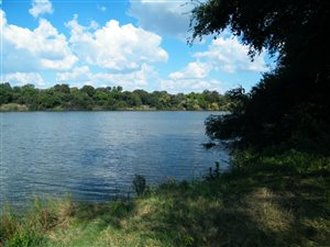 1 Bed House in Bothaville