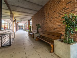 1 Bed Apartment in Olivedale