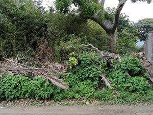 1429 m² Land available in Port Edward