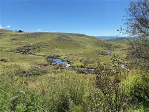 20.3 ha Farm in Underberg