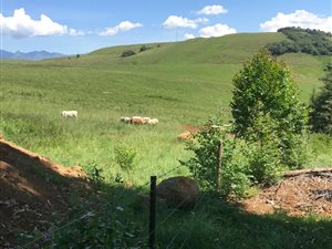 20.3 ha Farm in Underberg