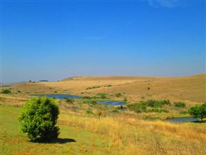 128.5 ha Farm in Dullstroom