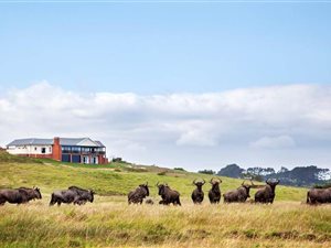 1489 m² Land available in Colleen Glen