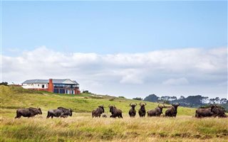 1489 m² Land available in Colleen Glen
