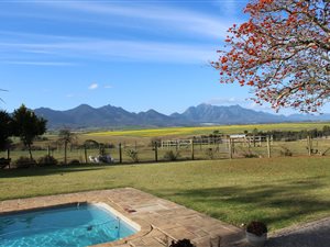 17 ha Farm in George Central