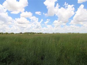 450 ha Farm in Ventersdorp