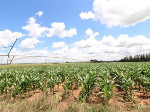 450 ha Farm in Ventersdorp