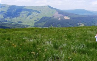 642 ha Farm in Ixopo