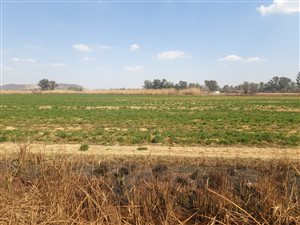 11.5 ha Farm in Honingnestkrans