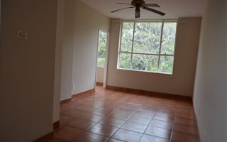 1 Bedroom Flat in Glenwood