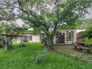 3 Bed House in Orchards