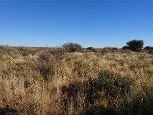 1072 ha Farm in Prieska