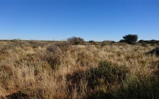 1072 ha Farm in Prieska