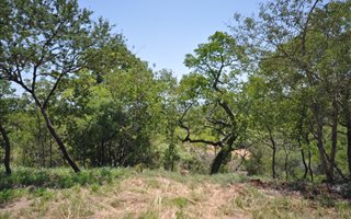 1259 m² Land available in Drum Rock