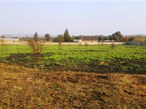 1 ha Smallholding in Gerhardsville