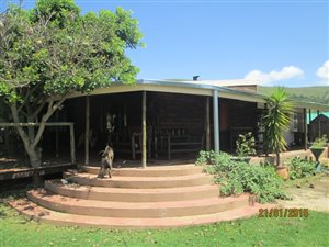 36.9 ha Farm in Lydenburg