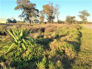 600 m² Land available in Wedgewood Golf and Country Estate