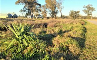 600 m² Land available in Rowallan Park and surrounds