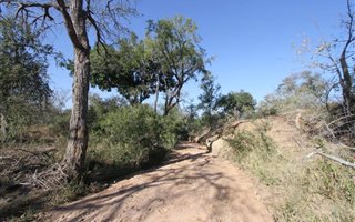 513 ha Land available in Klaserie Private Nature Reserve
