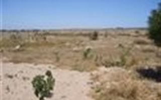 339 m² Land available in Paternoster