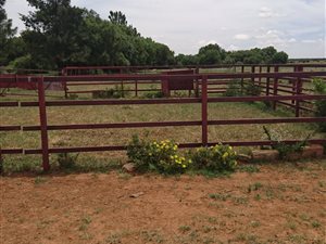 293 ha Farm in Wolmaranstad