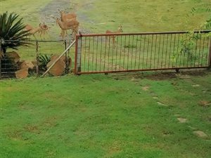 14 m² Farm in Koppies