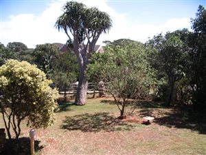 3 Bed House in Merryhill