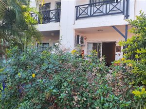 2 Bed Cluster in Manor Gardens