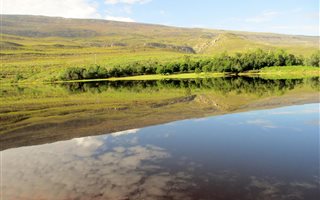 164.8 ha Farm in Barrydale