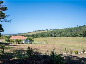 8.6 ha Farm in Roodefontein