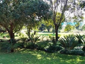 1 m² Farm in Modimolle