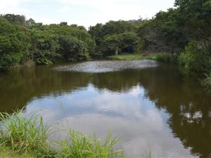 4 ha Farm in Izotsha