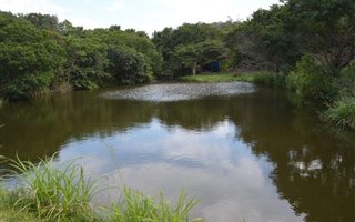 4 ha Farm in Izotsha