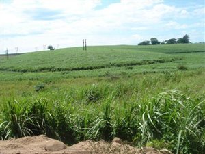 1 ha Land available in Tongaat Central