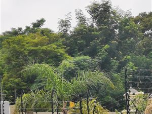 975 m² Land available in Waterkloof Ridge