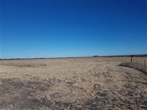 8 ha Farm in Koppies