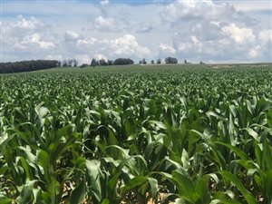 1149 ha Farm in Bethlehem