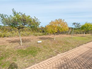 1253 m² Land available in Schoongezicht