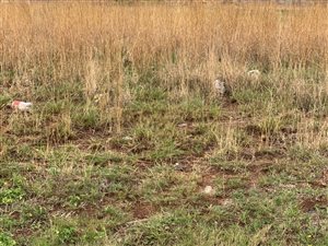 8965 m² Land available in Middelburg Central