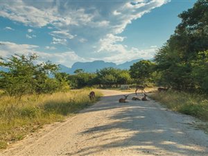 1 ha Land available in Moditlo Nature Reserve