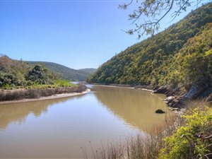 336 ha Farm in Port Alfred