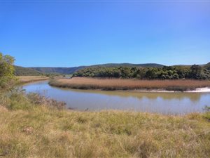 336 ha Farm in Port Alfred