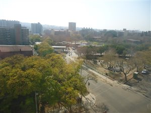 1 Bed Apartment in Sunnyside
