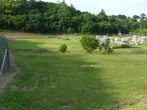 2.9 ha Land available in Riet Rivier