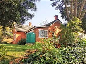 3 Bed House in Howick