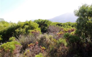 818 m² Land available in Bettys Bay