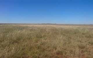 262 ha Land available in Edenburg