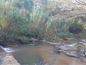 30 ha Farm in Ballito