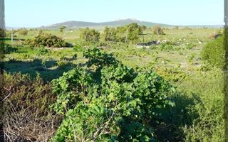 344 m² Land available in Paternoster